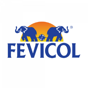 fevicol